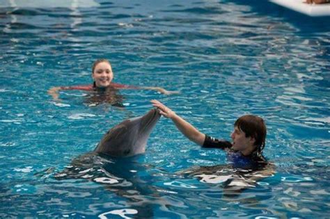 Dolphin Tale 2...An Unexpected and Inspiring True-to-Life Sequel