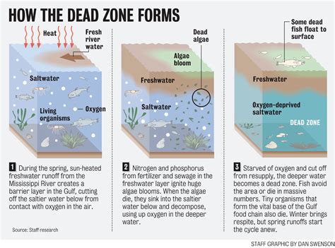 Dead Zone in Gulf of Mexico - Causes, Concern and Solution