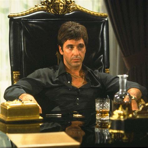 The Best Illegal Drug Trade Movies | Scarface movie, Gangster films, Movie stars