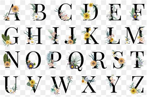 Alphabet Images | Free Photos, PNG Stickers, Wallpapers & Backgrounds ...