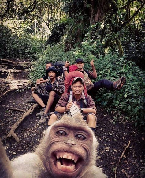 They are evolving Monkey selfie - Meme Guy