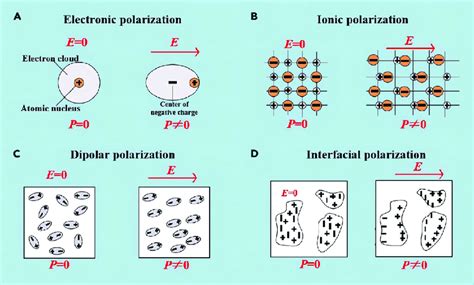 Polarization forms of dielectric in static electric fields Adapted with ...