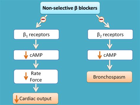 Beta blockers