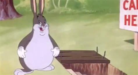 Just found this really funny image of a fat bugs bunny, I think it would be funny if it became a ...