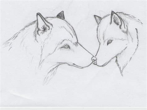 Wolf Cool Easy Animal Drawings : Someone please enlighten me lmao my ...