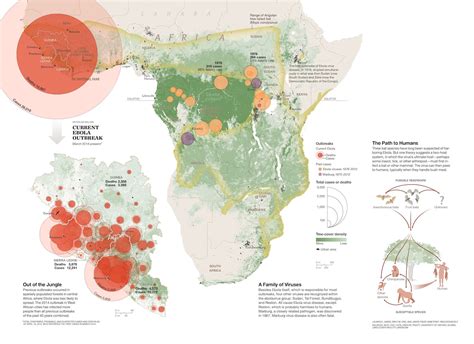 Seeking the Source of Ebola | National Geographic Society