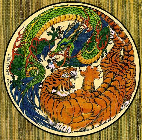 Image - Chinese Yin Yang Tiger Dragon Symbol.jpg | Tekkaman Wiki ...