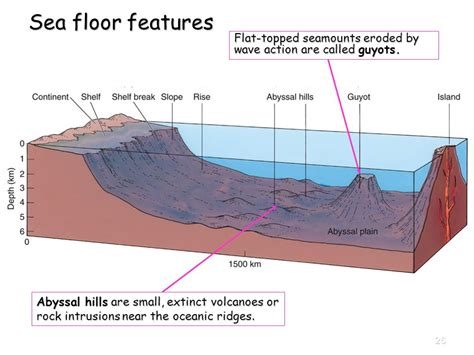 Ocean Floor Diagram Seamount | Review Home Co