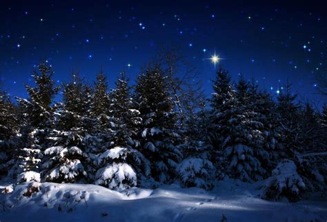 Your Christmas Night Sky Revealed: 12 ‘Christmas Stars’ And What To ...