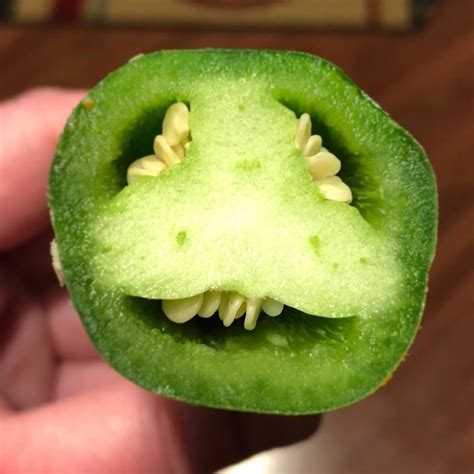 This jalapeno is smiling at me! : funny