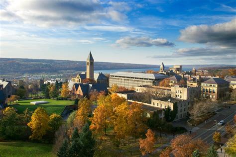 Cornell Center for Enervating NeuroImmune Disease