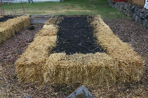 Straw Bale Gardening - One Hundred Dollars a Month