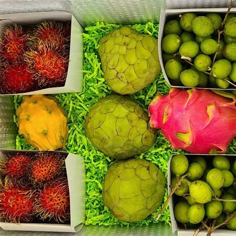 Order Fresh Exotic Fruit Boxes Online from Tropical Fruit Box ...