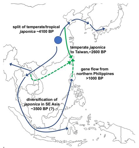 Teorya Ng Austronesian Sian Migration