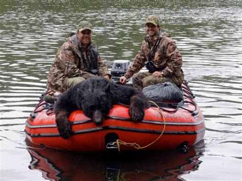 Black Bear Hunting Opportunities and Tips | Pure Hunting