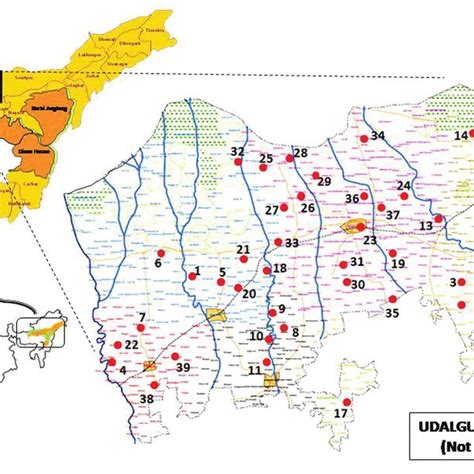 (PDF) Survey and documentation of anthelmintic plants used in ...