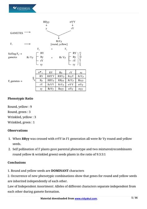 Class 10th Science Heredity and Evolation NCERT Notes CBSE 2023