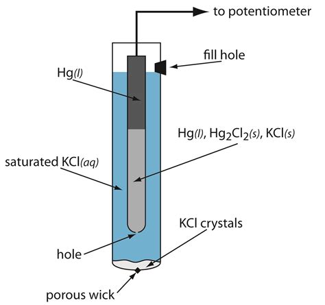 Describe the construction and working of calomel electrode.