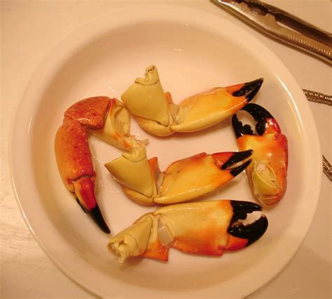 Blue Starr Gallery: Florida Stone Crab Season