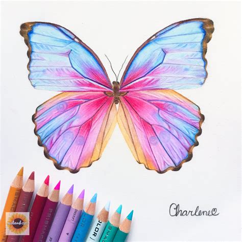 √ Simple Color Pencil Drawings