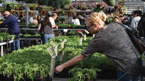 Why Fresh is Best at Southwood Garden Center - Greenhouse Grower