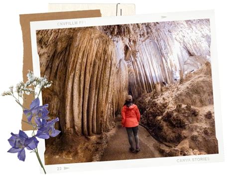 Carlsbad Caverns King's Palace Tour: What to Expect - That Adventure Life