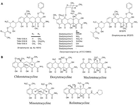 (A) Structures of naturally occurring tetracycline glycosides and their... | Download Scientific ...