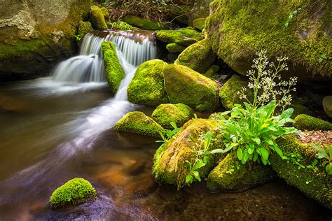 Spring Roaring Fork Photography Great Smoky Mountains National Park ...