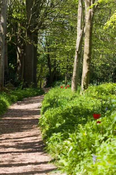 Woodland Trail Walk Free Stock Photo - Public Domain Pictures