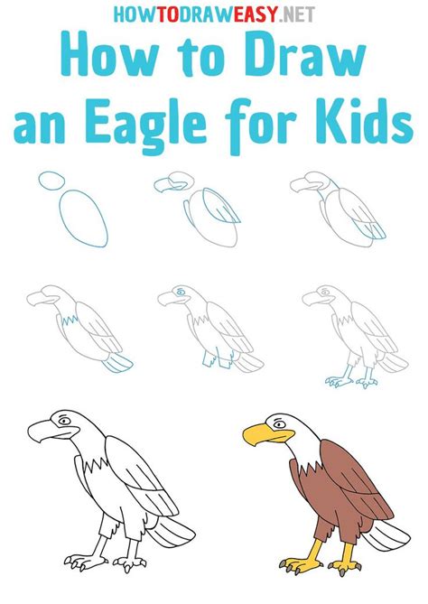 How to Draw an eagle step by step | Eagle drawing, Eagle drawing easy ...