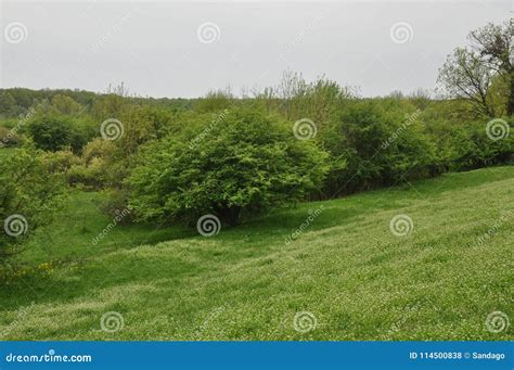 Spring landscape stock photo. Image of colour, bohemian - 114500838