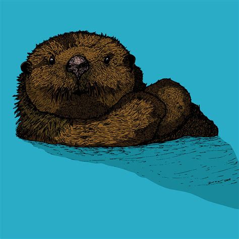 Sea Otter - Full Color Drawing by Karl Addison