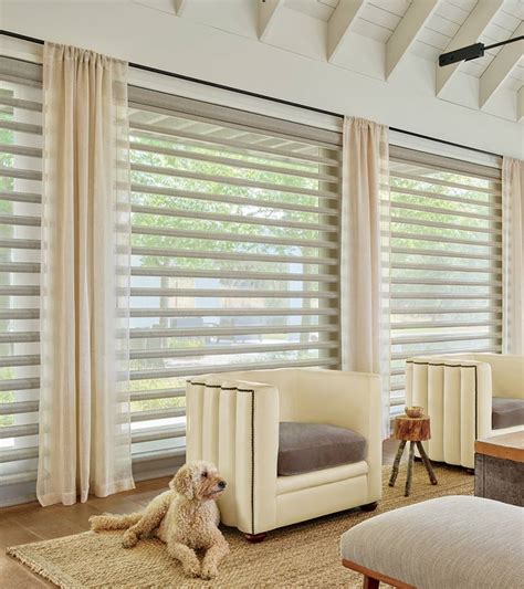 Blinds For Big Living Room Windows | Cabinets Matttroy