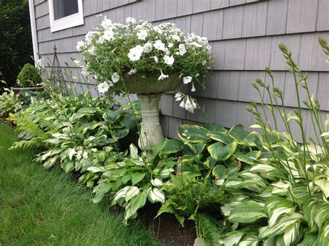 Hosta Garden Design Ideas Garden Hosta Hostas Tree Gardens Landscape Shade Trees Around Under ...