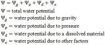 Water Potential: Definition, Equation & Measurement | Study.com