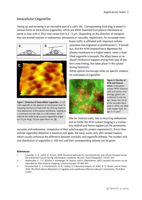 7 Intracellular Organelles