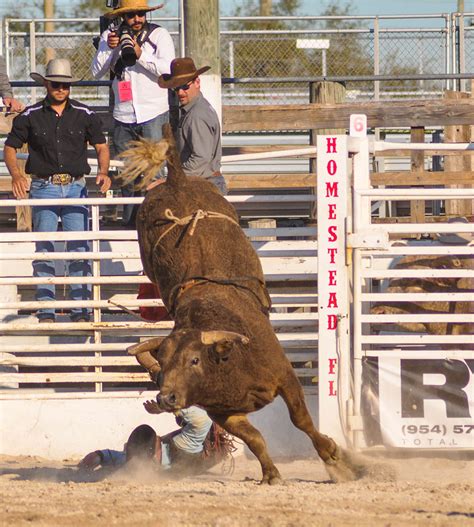 Homestead Rodeo 2020 - Geoff Bergey