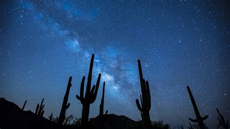 Andromeda Galaxy, on Collision Course With the Milky Way, Has a Cannibalistic History ...