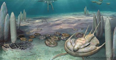 The Cambrian explosion was far shorter than thought | Natural History Museum