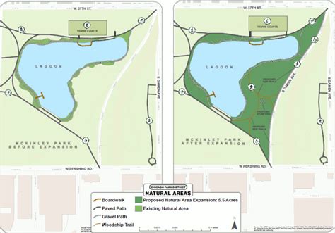 McKinley Park News - McKinley Park Growing Natural Area; Community Help Needed for Contest ...