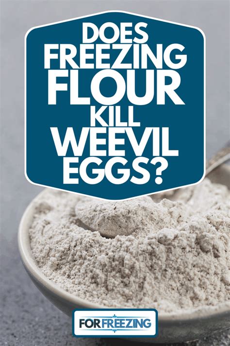 Does Freezing Flour Kill Weevil Eggs? – ForFreezing.com