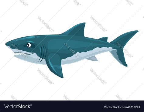 Megalodon shark dinosaur cartoon character Vector Image