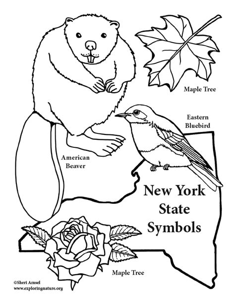 New York State Symbols Coloring Page – Coloring Nature