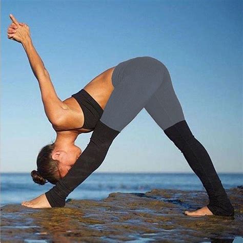 Warrior Yoga Pants | Basic yoga poses, Yoga poses, Basic yoga