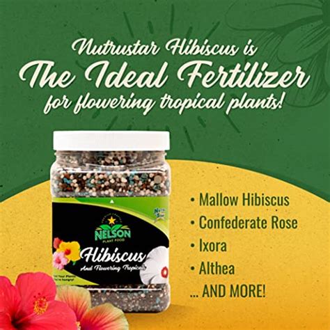 Nelson Plant Food - NutriStar Hibiscus Fertilizer - Outdoor and Indoor Plant Food - Tropical ...