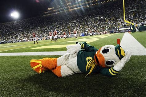 Oregon Duck one of nation's top mascots | Oregon ducks, Mascot, Oregon