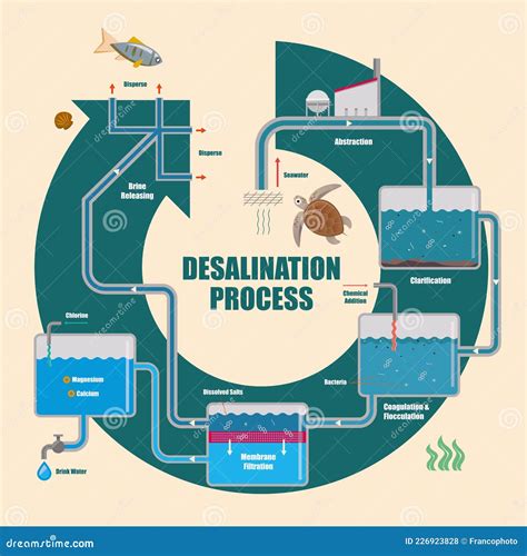 Desalination Process From Ocean Water To Drinkable Freshwater Outline Diagram Vector ...