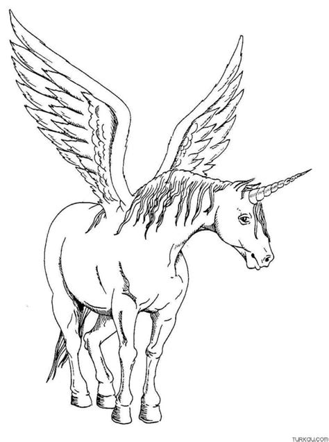 Winged Unicorn Coloring Page » Turkau