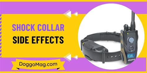 The Shock Collar Side Effects During Prolonged Use - By Trainer - DoggoMag