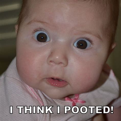 Cute Baby Memes | Baby memes, Funny baby pictures, Funny babies